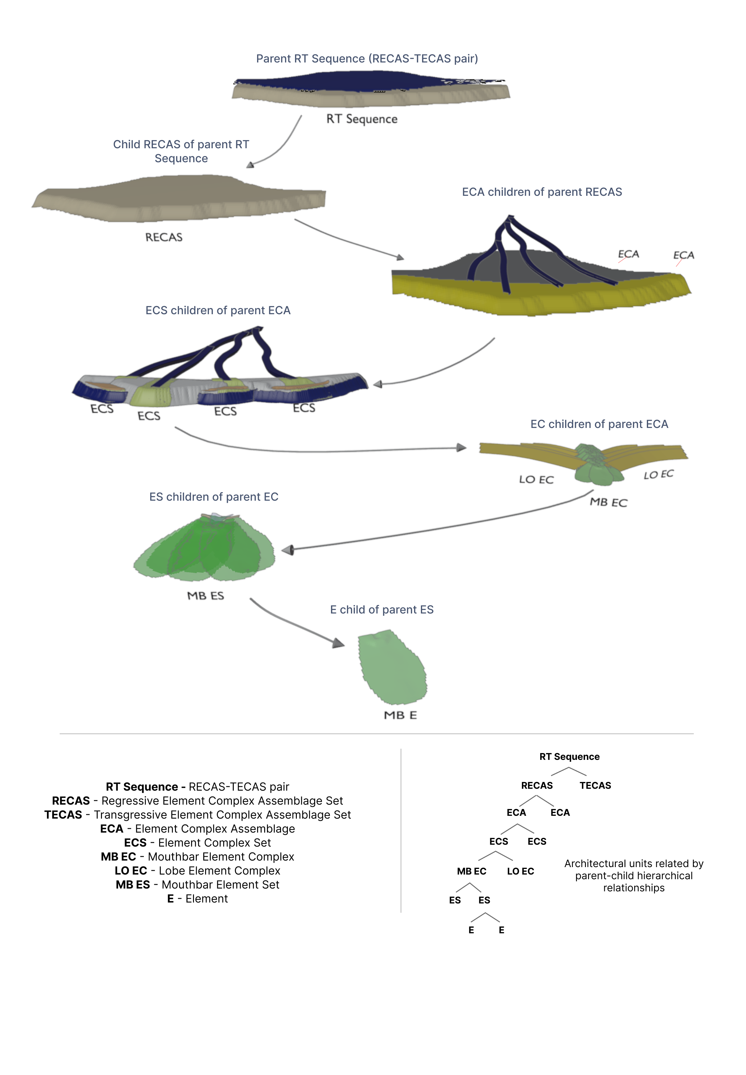 Idealized vertical facies succession