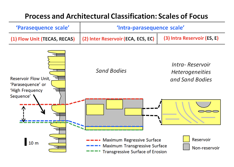 Idealized vertical facies succession